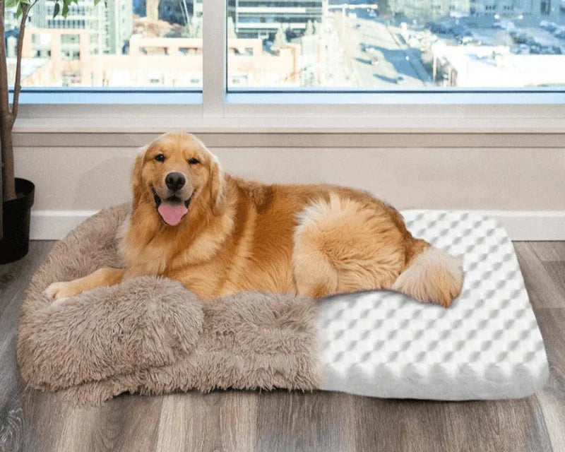 SunggleNest™ Pillow
