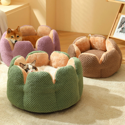 CozyCactus™ Pet Bed